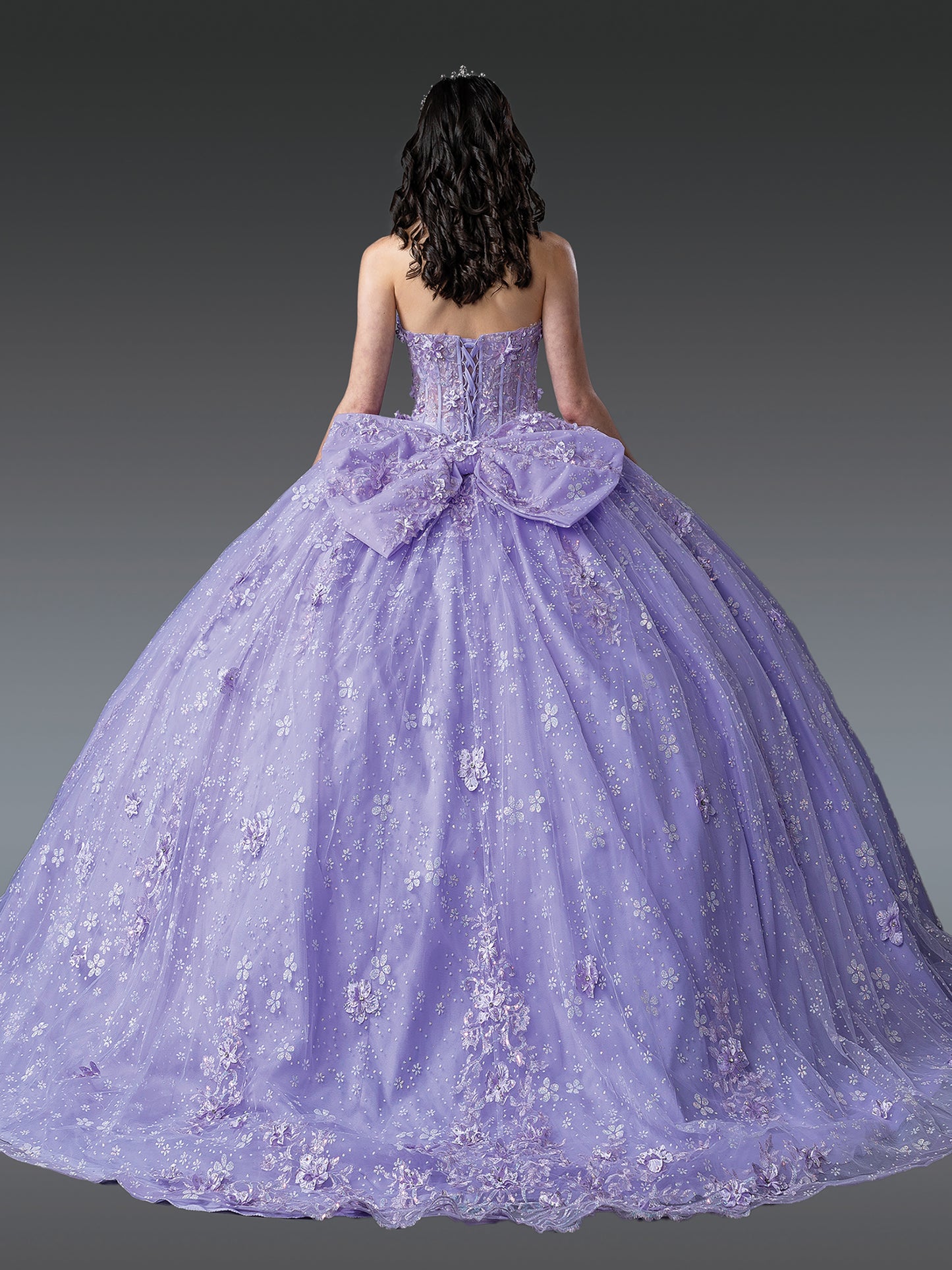 Quinceanera | Lilac 3D Floral Appliqués Sparkling Sweet 15 Ball Gown | Mira dress back