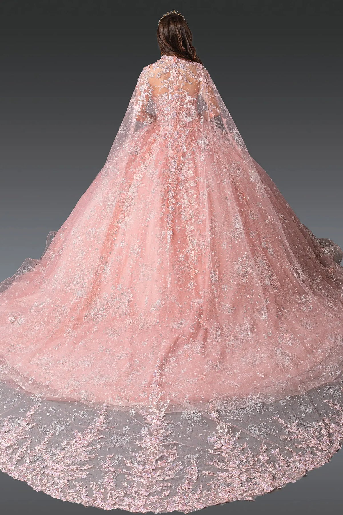 Back view of a Blush quinceañera gown showing lace-up back, sheer cape, and floral embroidery