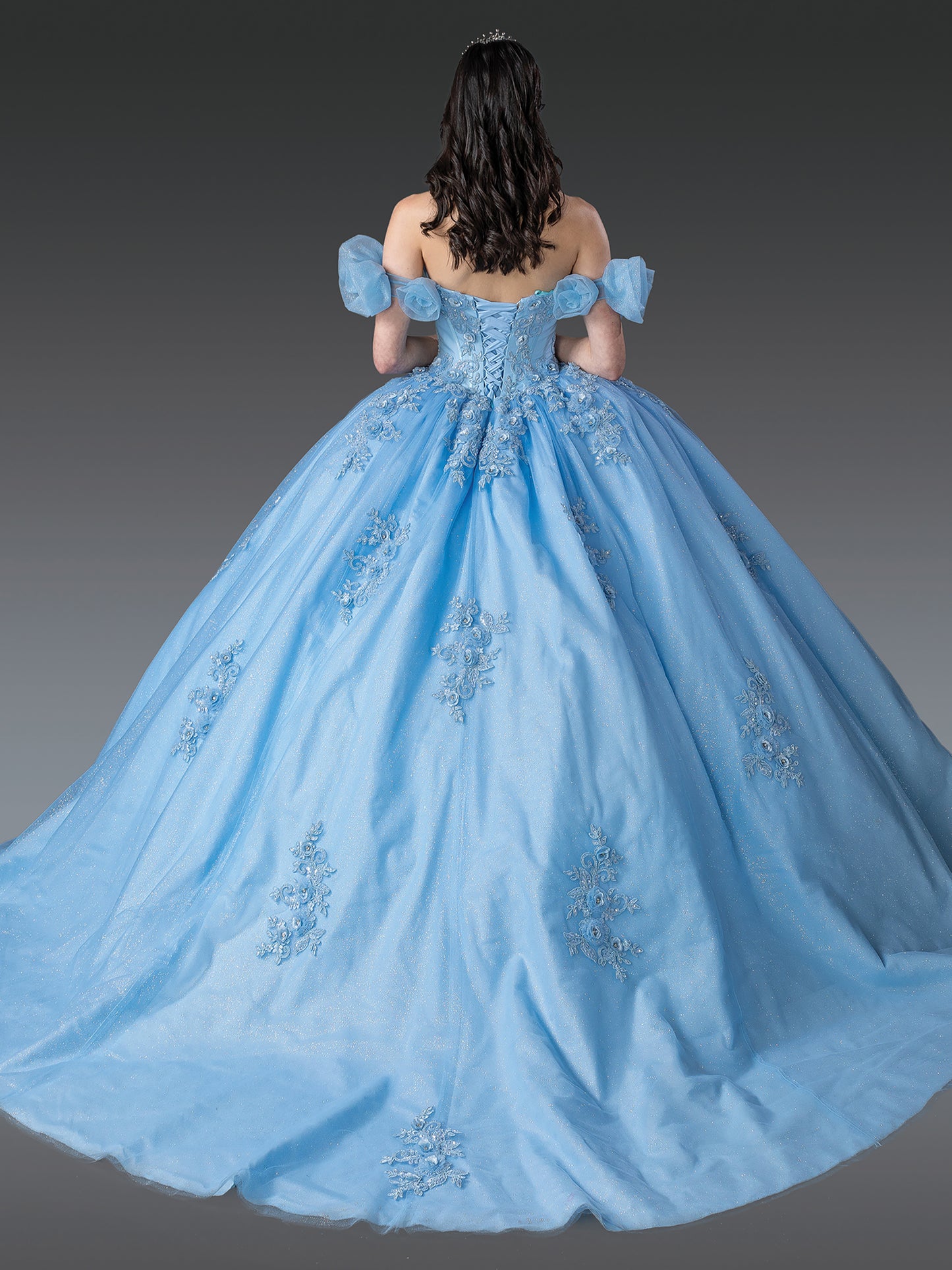 Quinceanera | Blue Off-Shoulder Sweet 15 Ball Gown with Floral Embroidery and Puffy Sleeves | Merida dress back