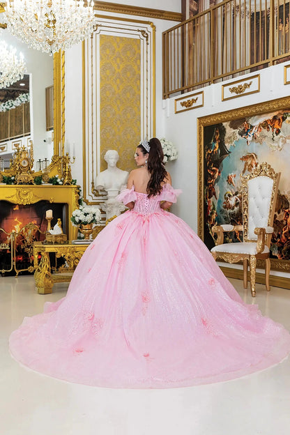 Woman standing back-facing in pink quinceañera ball gown with lace-up bodice, embroidered floral details, sheer overlay, and flowing layered skirt with train