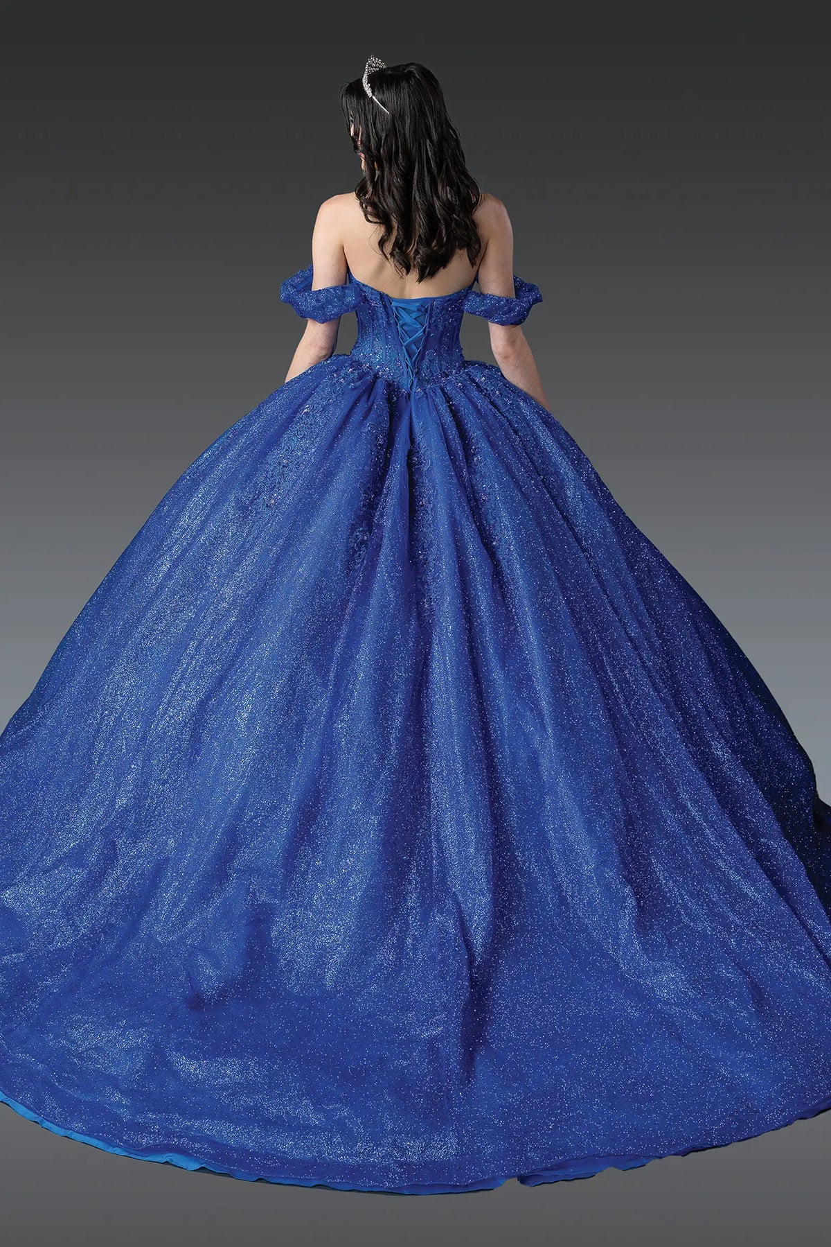 Back view of a Royal Blue quinceañera gown showing lace-up back and glitter tulle skirt