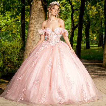 Blush Ball Gown with 3D Flowers and Illusion Sweetheart Sheer Bodice