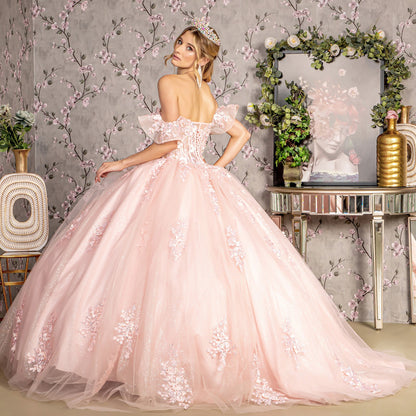 Blush 3D Flower Illusion Sweetheart Sheer Bodice Mesh Quince Dress Ballgown back view