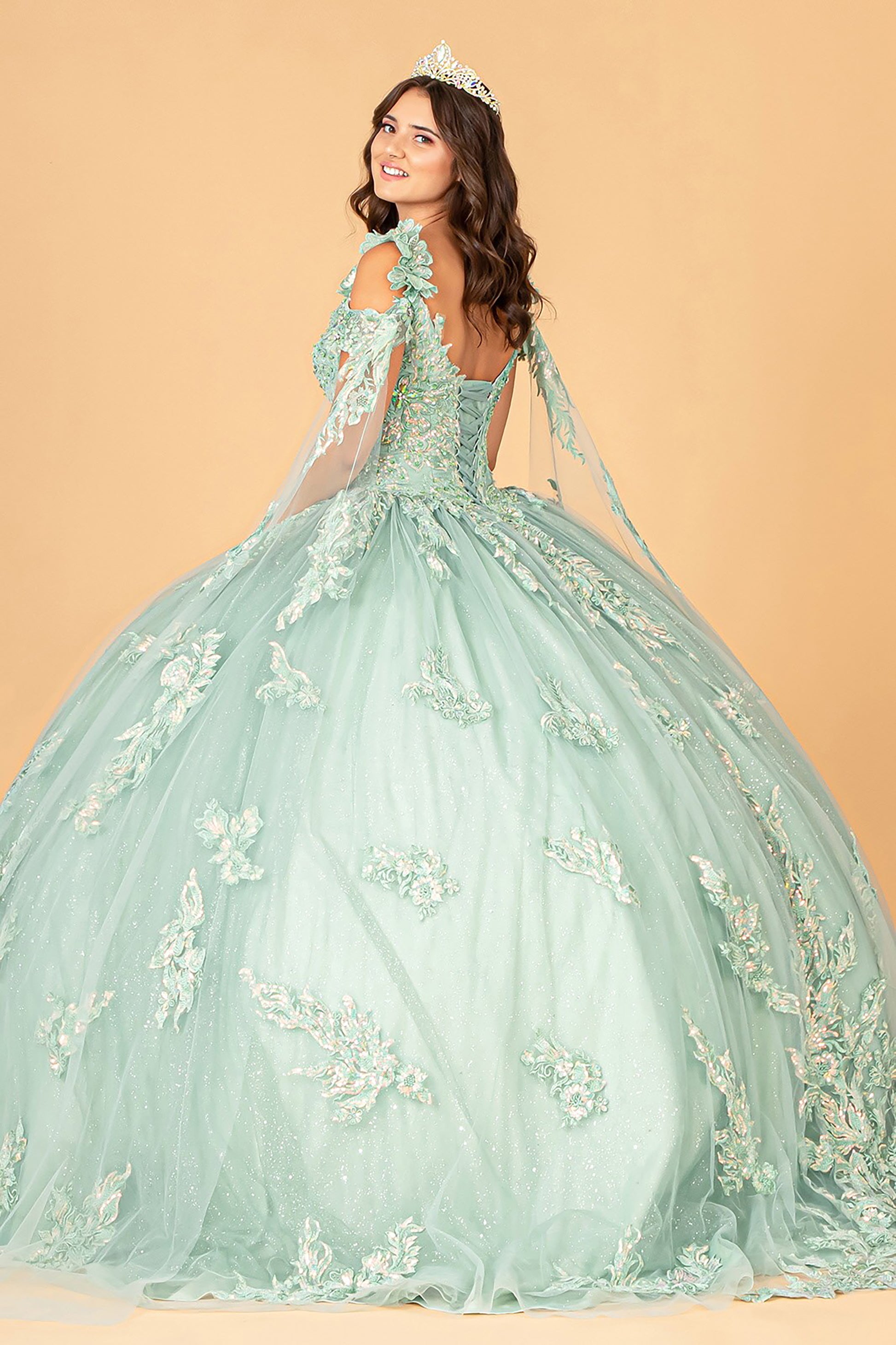 Quinceañera | Sage 3D Flower Appliqué Mesh Sweet 15 Ball Gown with Side Mesh Drapes | Rio dress back view