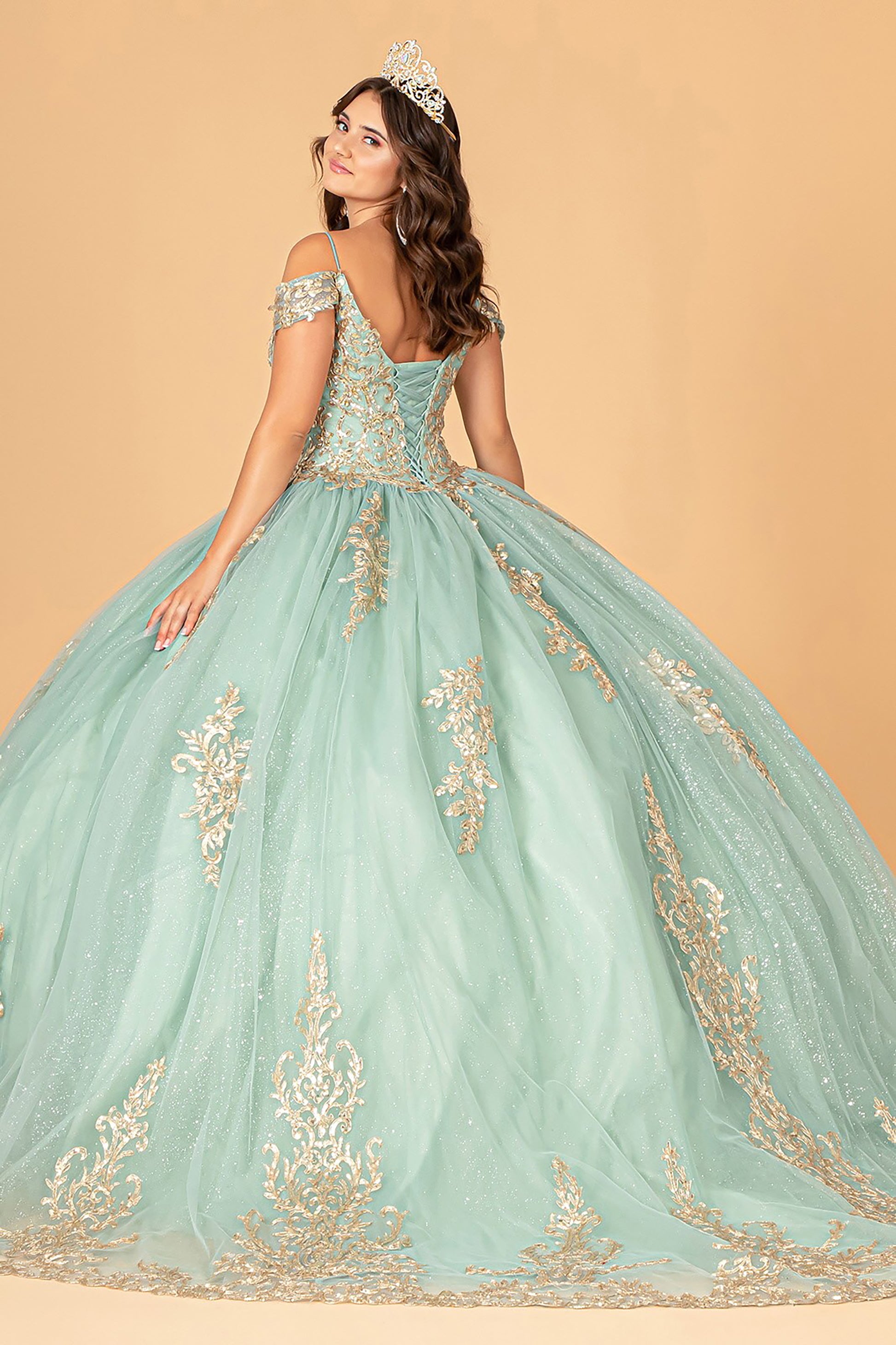 Quinceañera | Sage Gold Embroidered Mesh Sweet 15 Ball Gown | Reyna dress back view