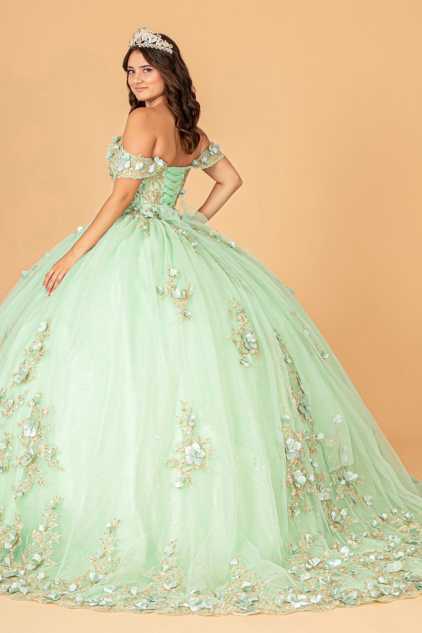 Quinceañera | Sage 3D Flower Appliqué Sweetheart Neckline Mesh Sweet 15 Ball Gown | Raquel dress back view