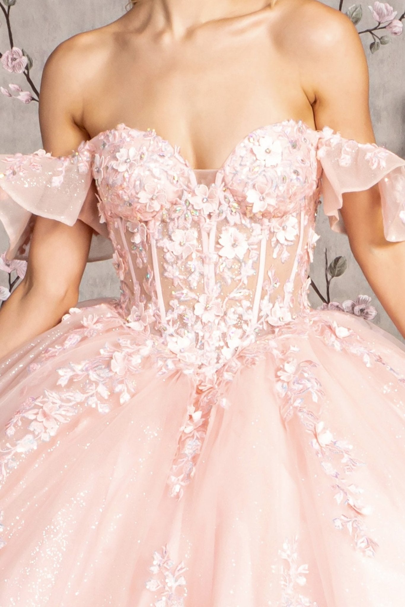 Blush 3D Flower Illusion Sweetheart Sheer Bodice Mesh Quince Dress Ballgown front zoom