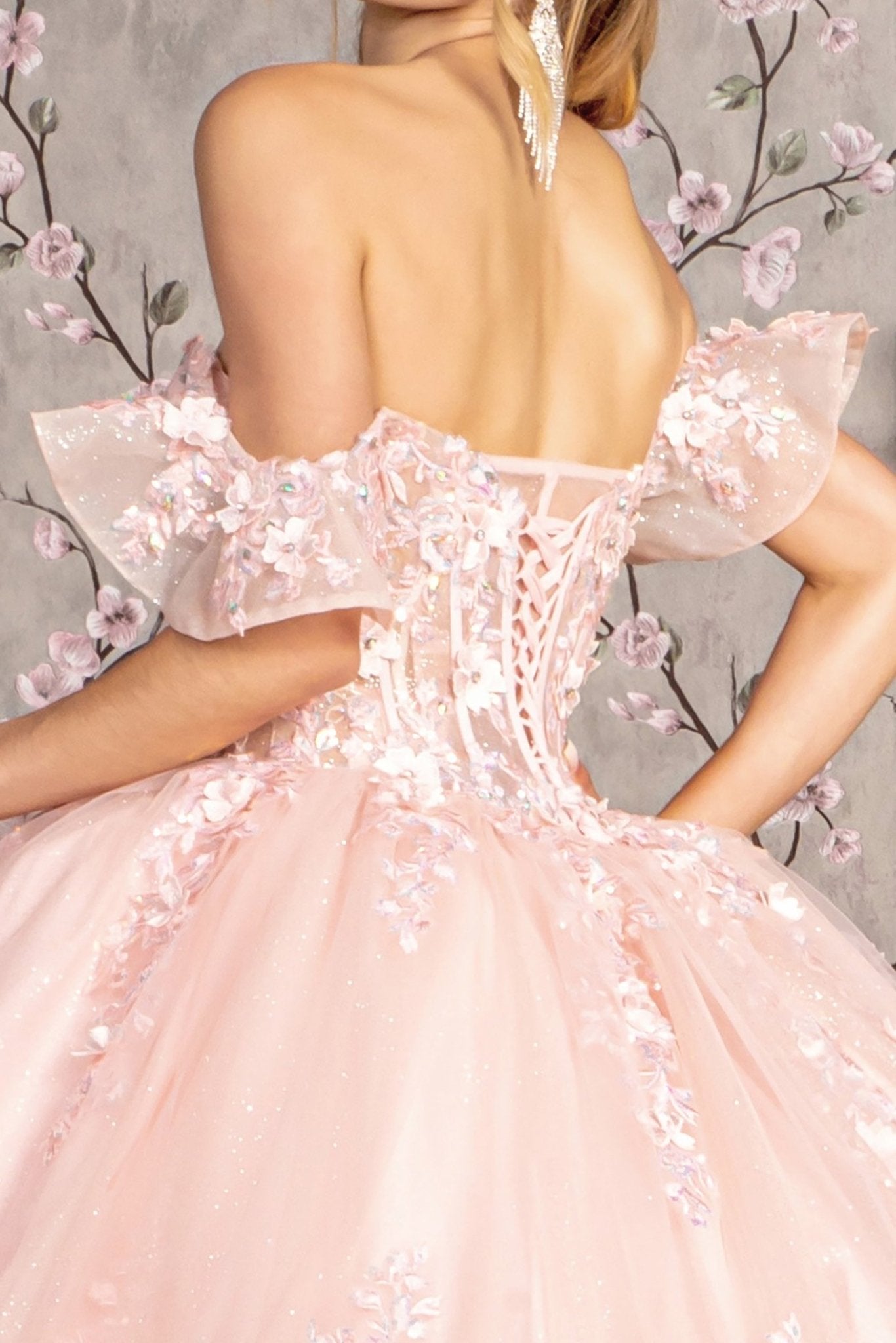 Blush 3D Flower Illusion Sweetheart Sheer Bodice Mesh Quince Dress Ballgown back zoom