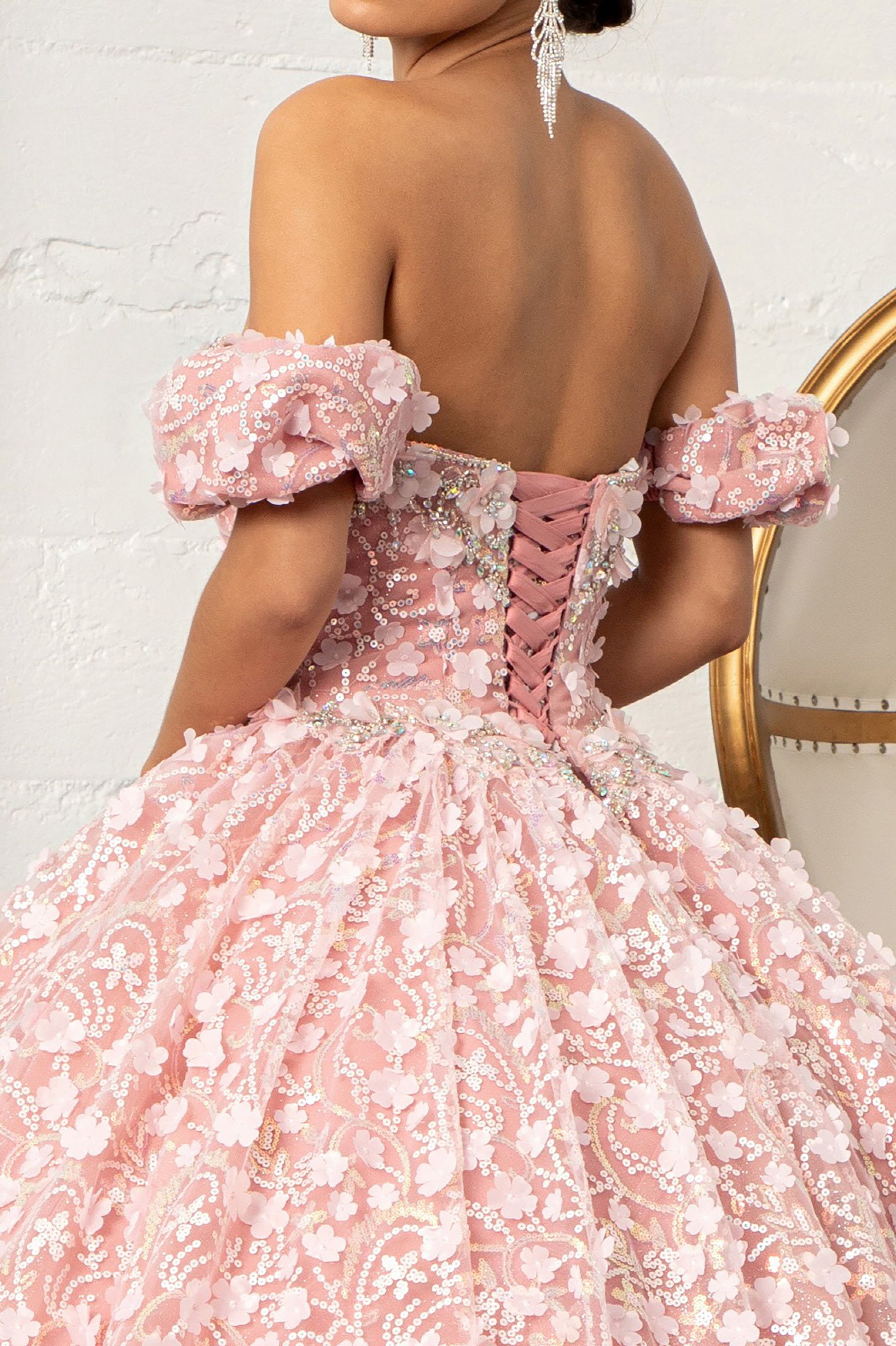 Quinceañera | Dusty Rose 3D Appliqué Jewel Embellished Mesh Ball Gown | Rita dress back zoom