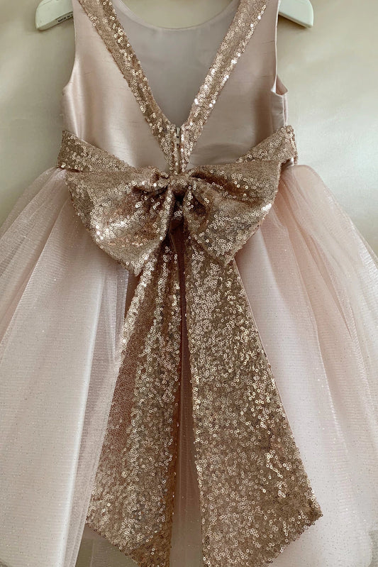 Pink flower girl dress with a large sequin bow.