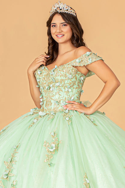 Quinceañera | Sage 3D Flower Appliqué Sweetheart Neckline Mesh Sweet 15 Ball Gown | Raquel dress front zoom