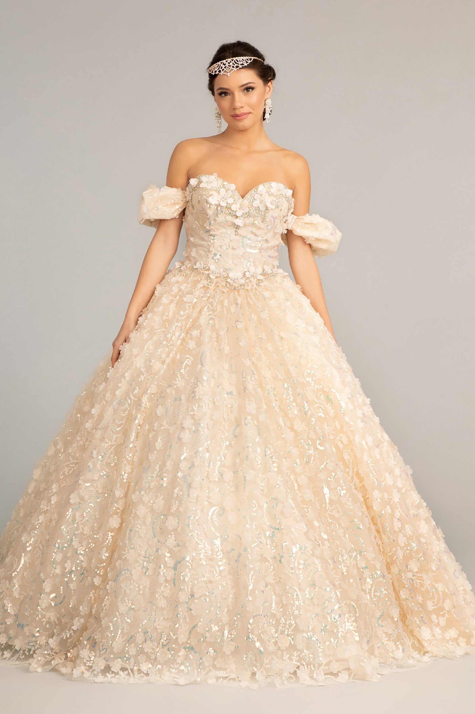 Quinceañera | Champagne 3D Appliqué Jewel Embellished Mesh Ball Gown | Rita dress front view