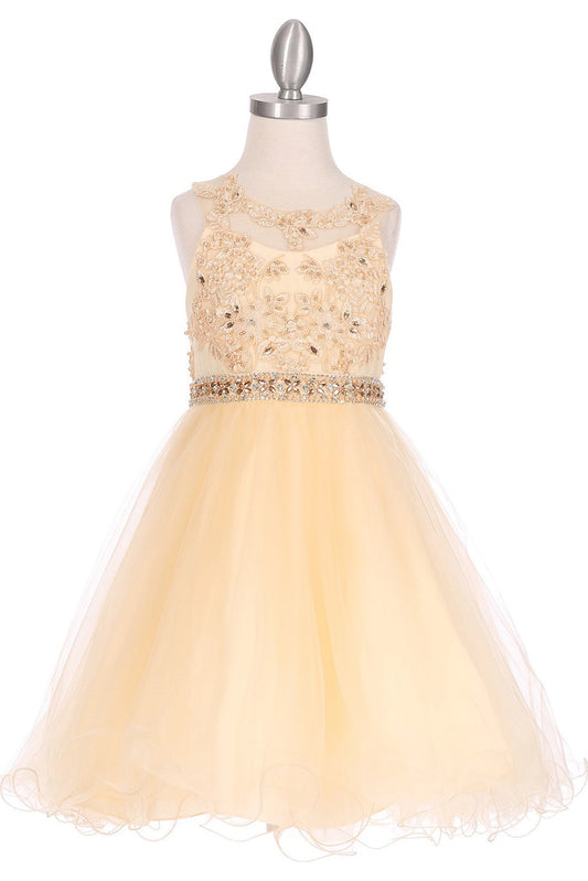 Showcasing with raised floral bodice appliques, this Champagne kids party dress displays elegant detail.