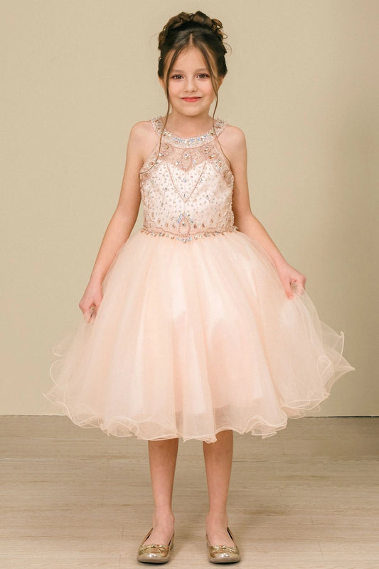 Showcasing with crystal beading across the bodice, this Blush kids party dress displays elegant detail.