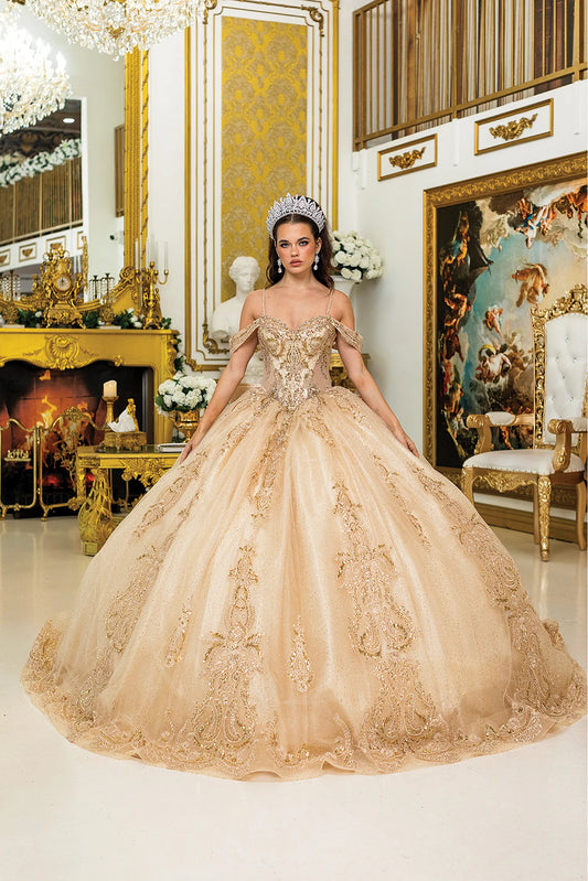 Featuring a floor-length skirt, this Gold quinceañera ball gown is shown in full view.