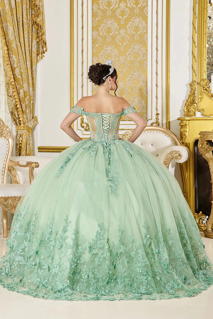 Sage green quinceañera ball gown featuring lace-up back and full embroidered skirt, back view