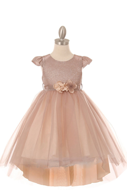 Showcasing with a high-low tulle hem, this Blush kids party dress displays elegant detail.