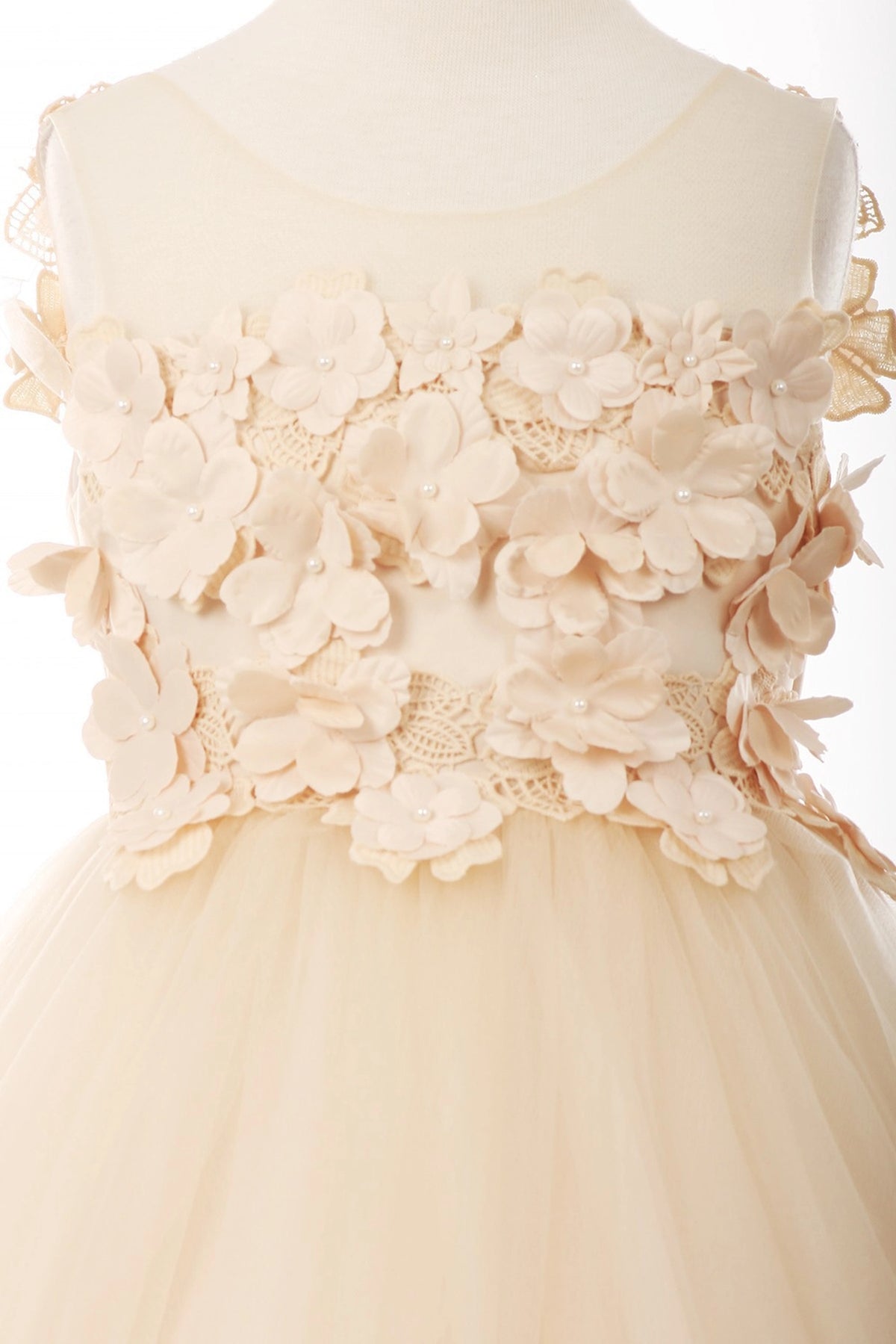 Finished details of dimensional flower appliques on the bodice distinguish the Champagne kids party dress.