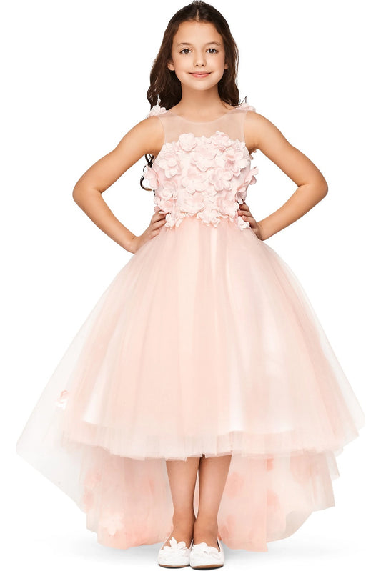 Showcasing with dimensional flower appliques on the bodice, this Pink kids party dress displays elegant detail.