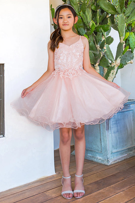 Showcasing with floral beadwork across the bodice, this Blush kids party dress displays elegant detail.