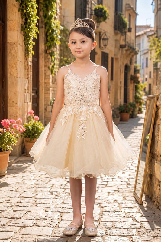 Featuring with a soft tulle skirt, this Champagne kids party dress displays elegant detail.