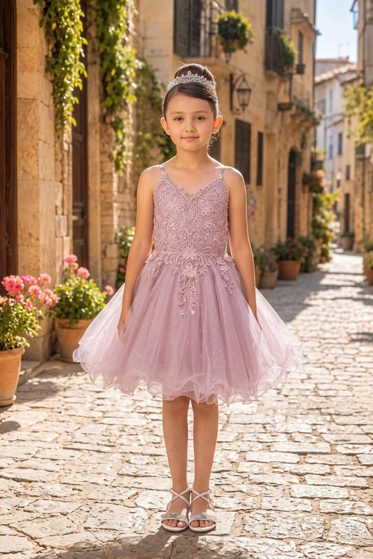 Featuring with beaded floral bodice appliques, this Mauve kids party dress displays elegant detail.