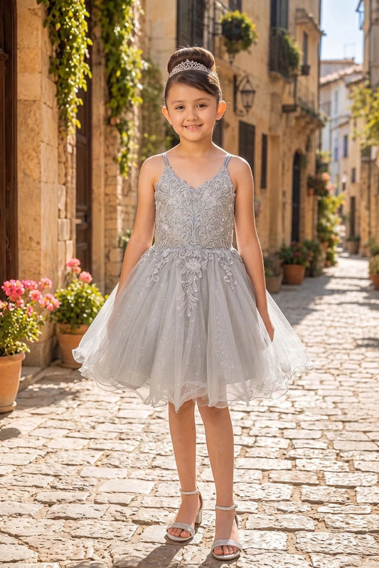 Showcasing with beaded floral bodice appliques, this Silver kids party dress displays elegant detail.