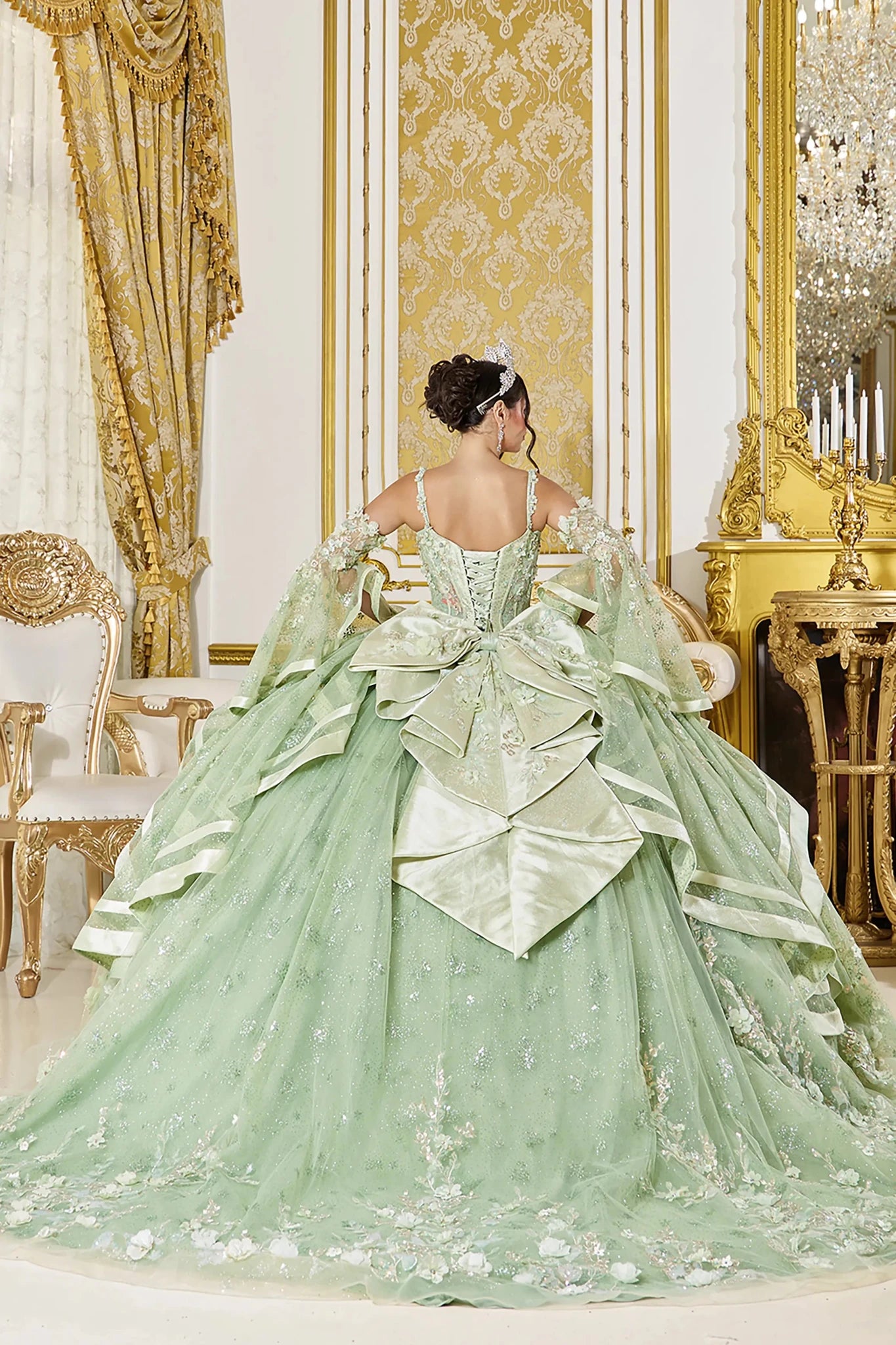 Back Full-length view of Romantic Sage Lace Appliqué Quinceañera Ball Gown