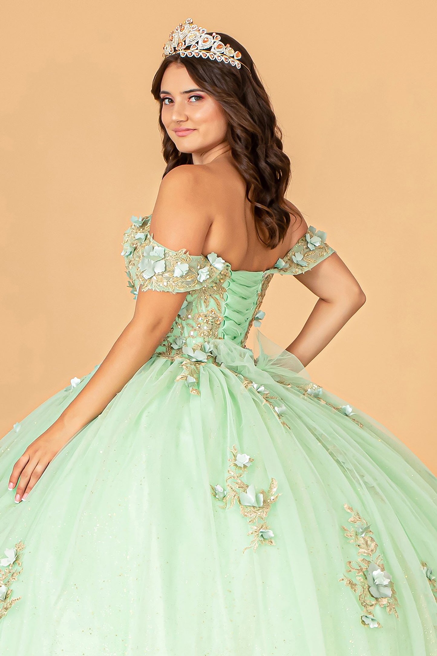 Quinceañera | Sage 3D Flower Appliqué Sweetheart Neckline Mesh Sweet 15 Ball Gown | Raquel dress back zoom