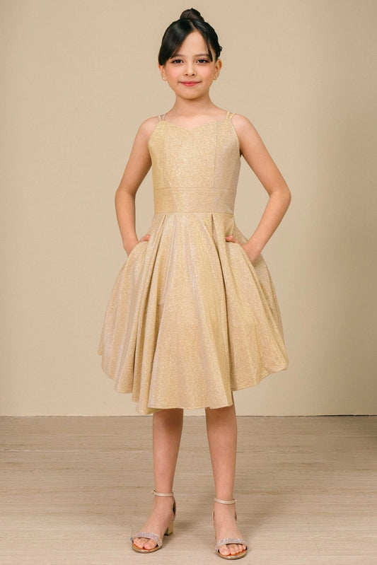 Showcasing with metallic skirt pleats, this Gold kids party dress displays elegant detail.