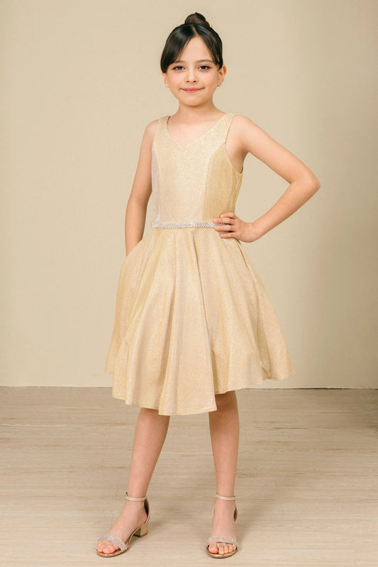 Showcasing with a metallic V-neck bodice, this Gold kids party dress displays elegant detail.