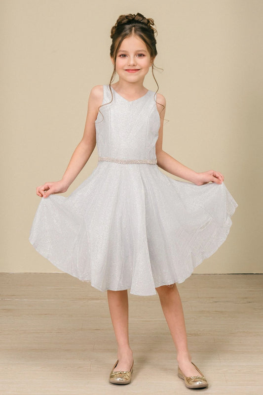 Showcasing with a metallic V-neck bodice, this Silver kids party dress displays elegant detail.