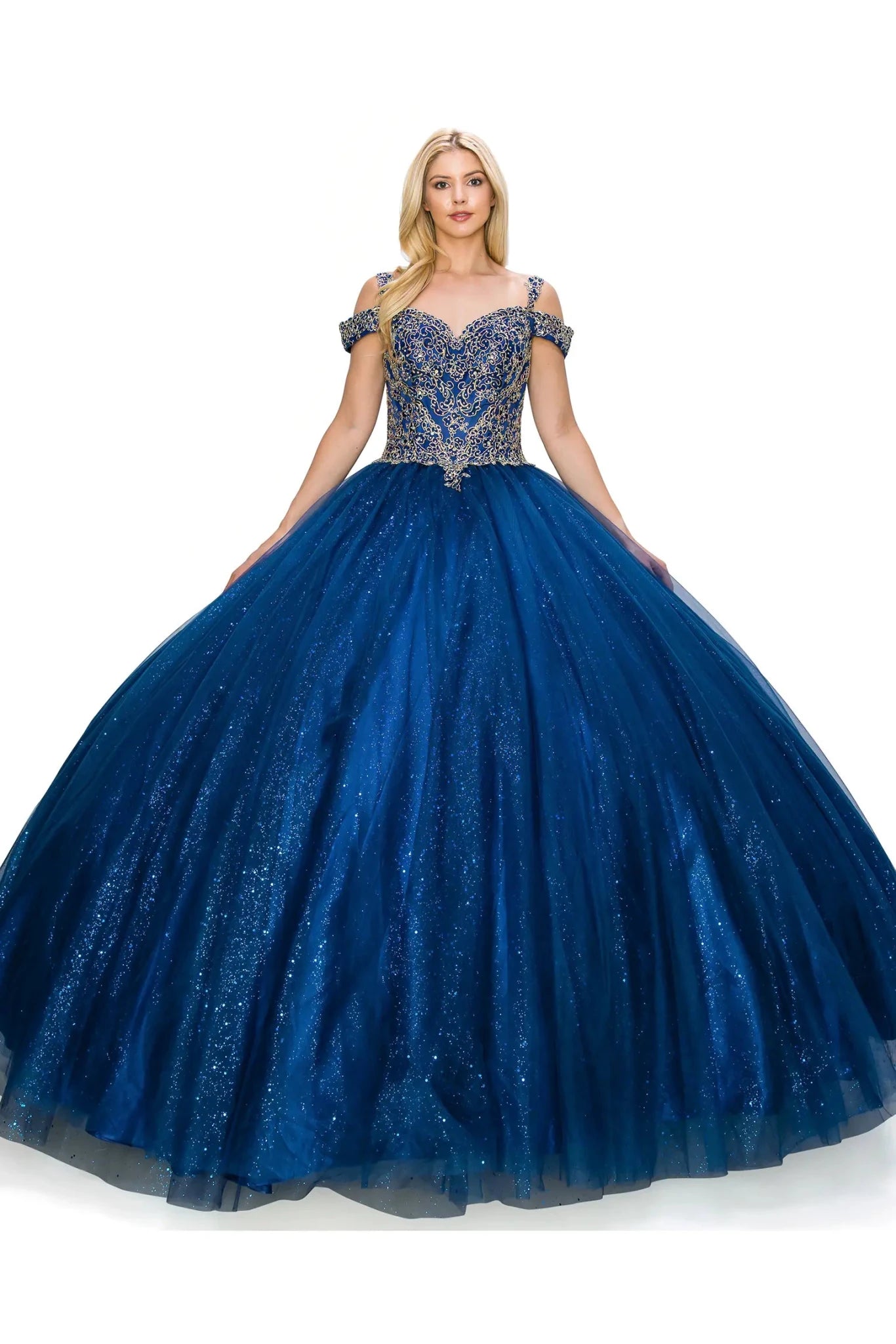 navy sparkly quince ball gown with intricate top on a white background