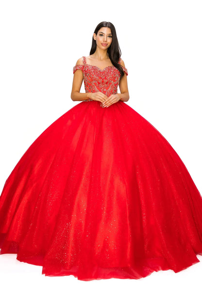Red ball gown with intricate detailing on a white background