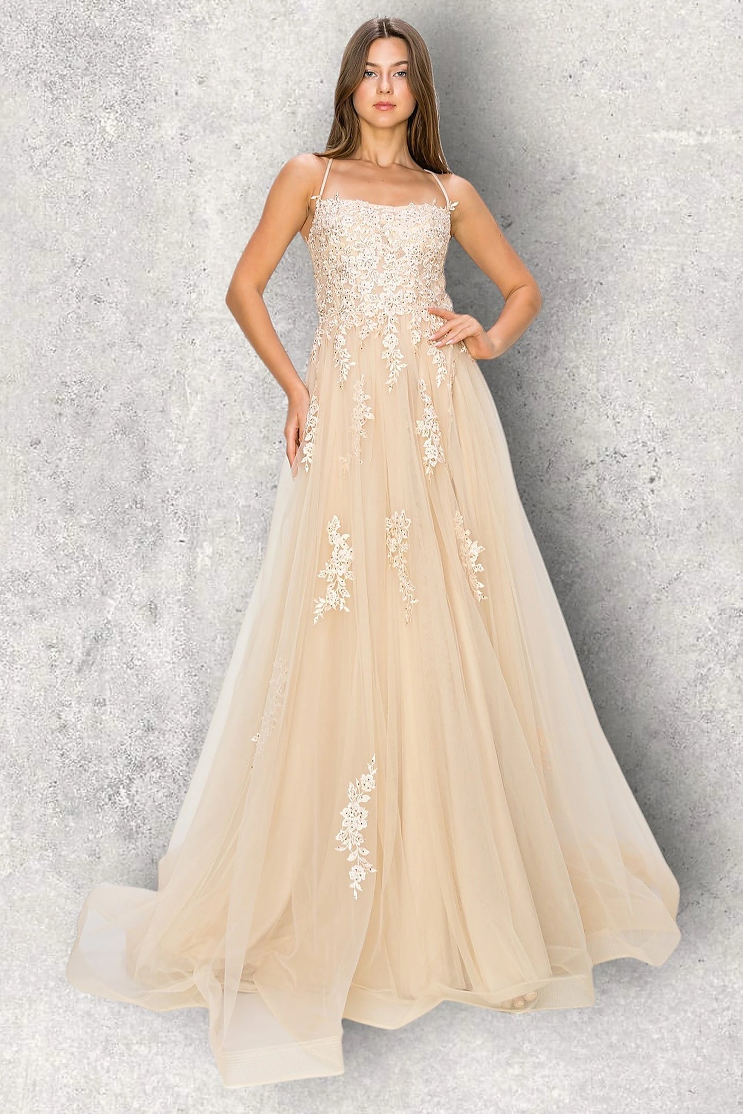 Champagne evening dress with fitted embroidered bodice