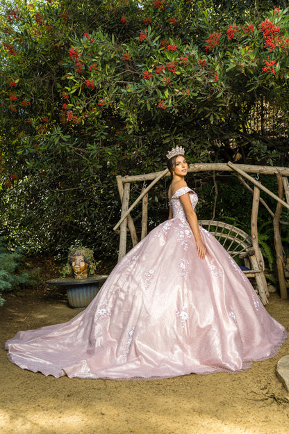 Quinceanera | Dusty Rose Elegant Lace Off-Shoulder Sweetheart Gown with Embossed Tulle, Satin Train, and Two-Tone Sequin Flower Appliqué | Gabriela dress | 2 Colors  side