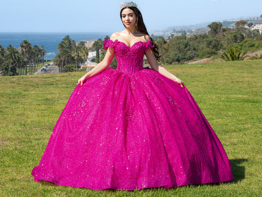 Quinceañera | Fuchsia Off-Shoulder Beaded Bodice with Crafted Lace Butterfly, Floral Appliqué Sweet 15 Ballgown | Martina J dress | 8 Colors Available front view