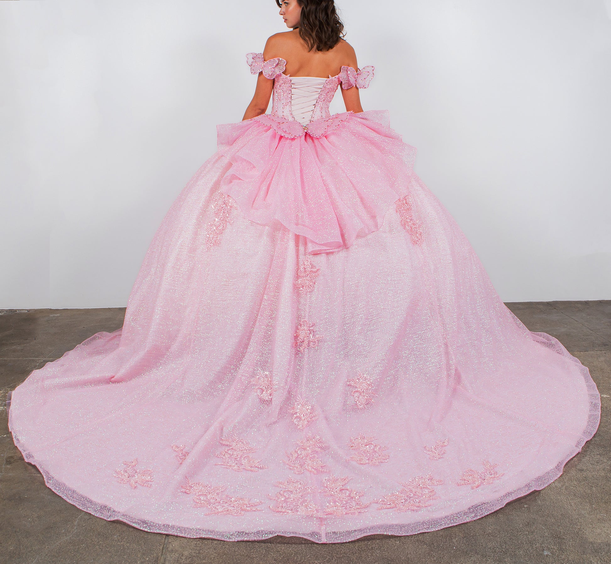 Quinceañera | Blush Off-Shoulder Beaded Bodice with Crafted Lace Butterfly and Floral Appliqué Sweet 15 Ballgown | Martina J dress | 8 Colors Available back view