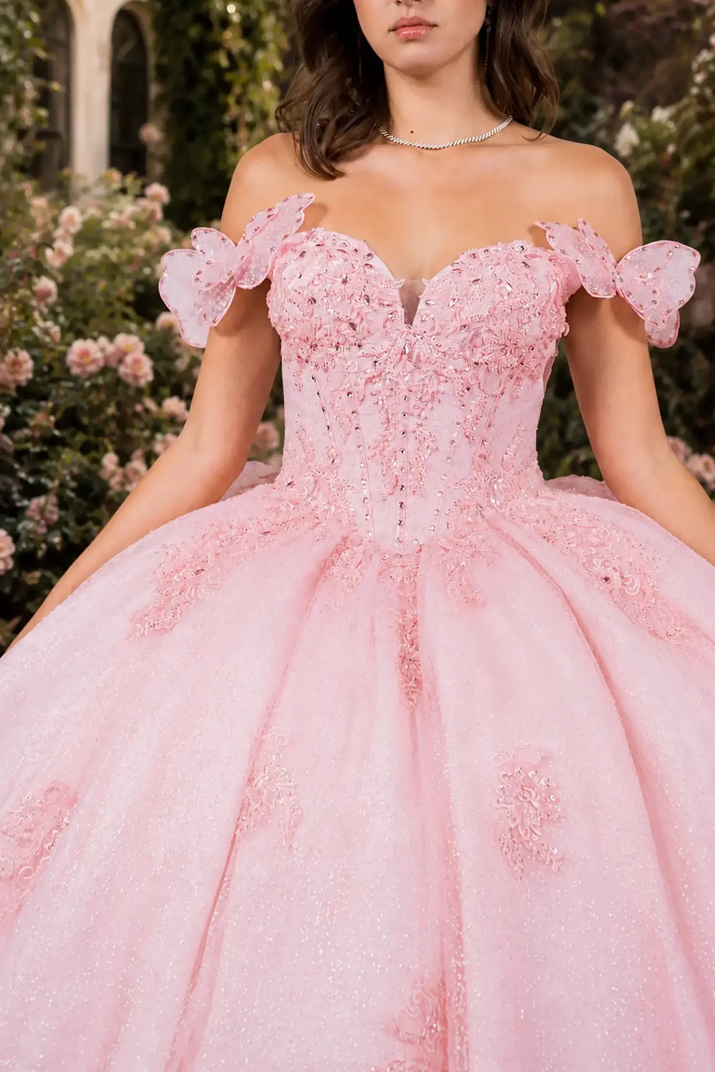 Blush Sweet 15 Ball Gown with Off - Shoulder Floral & Butterfly Details