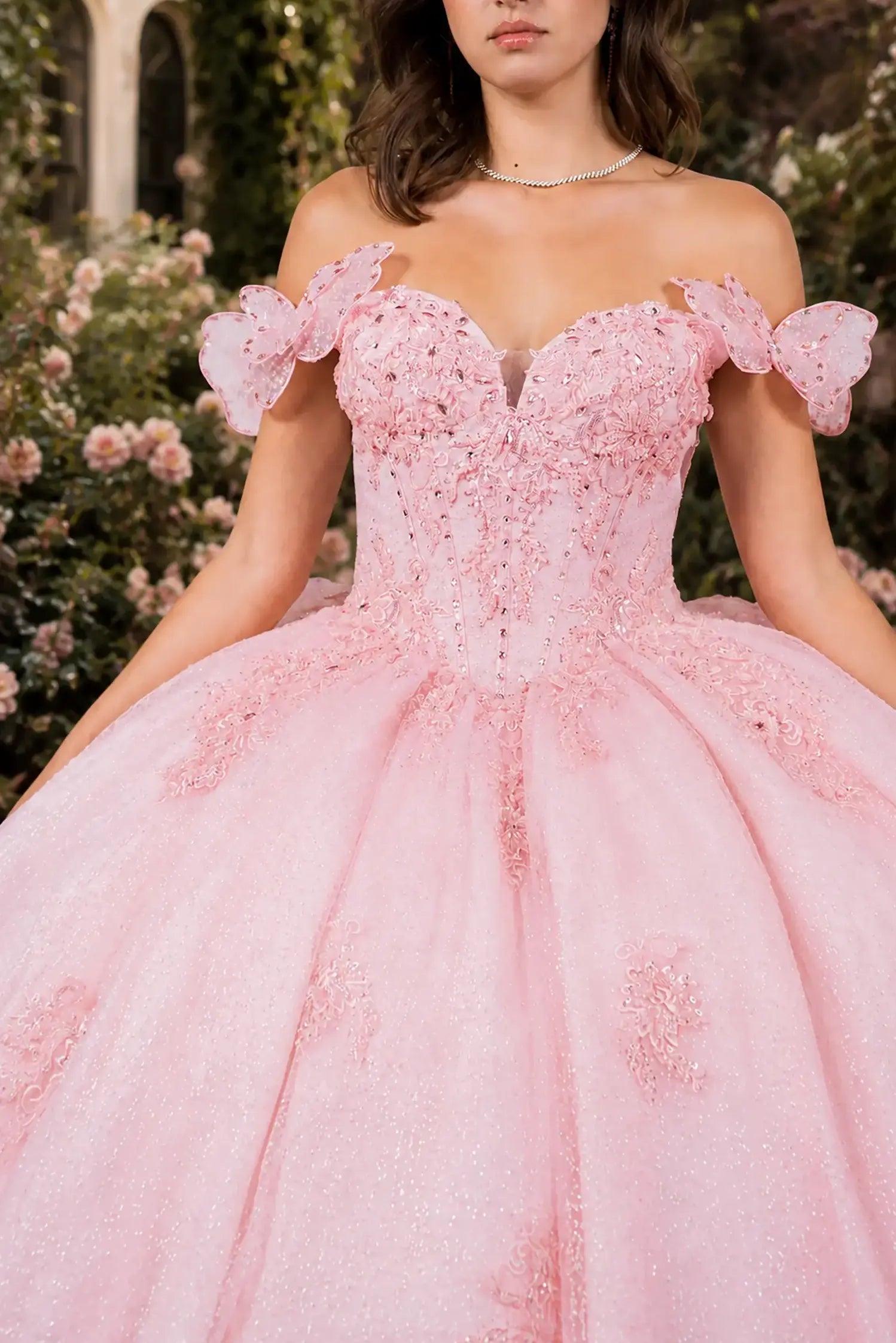 Blush Sweet 15 Ball Gown with Off - Shoulder Floral & Butterfly Details