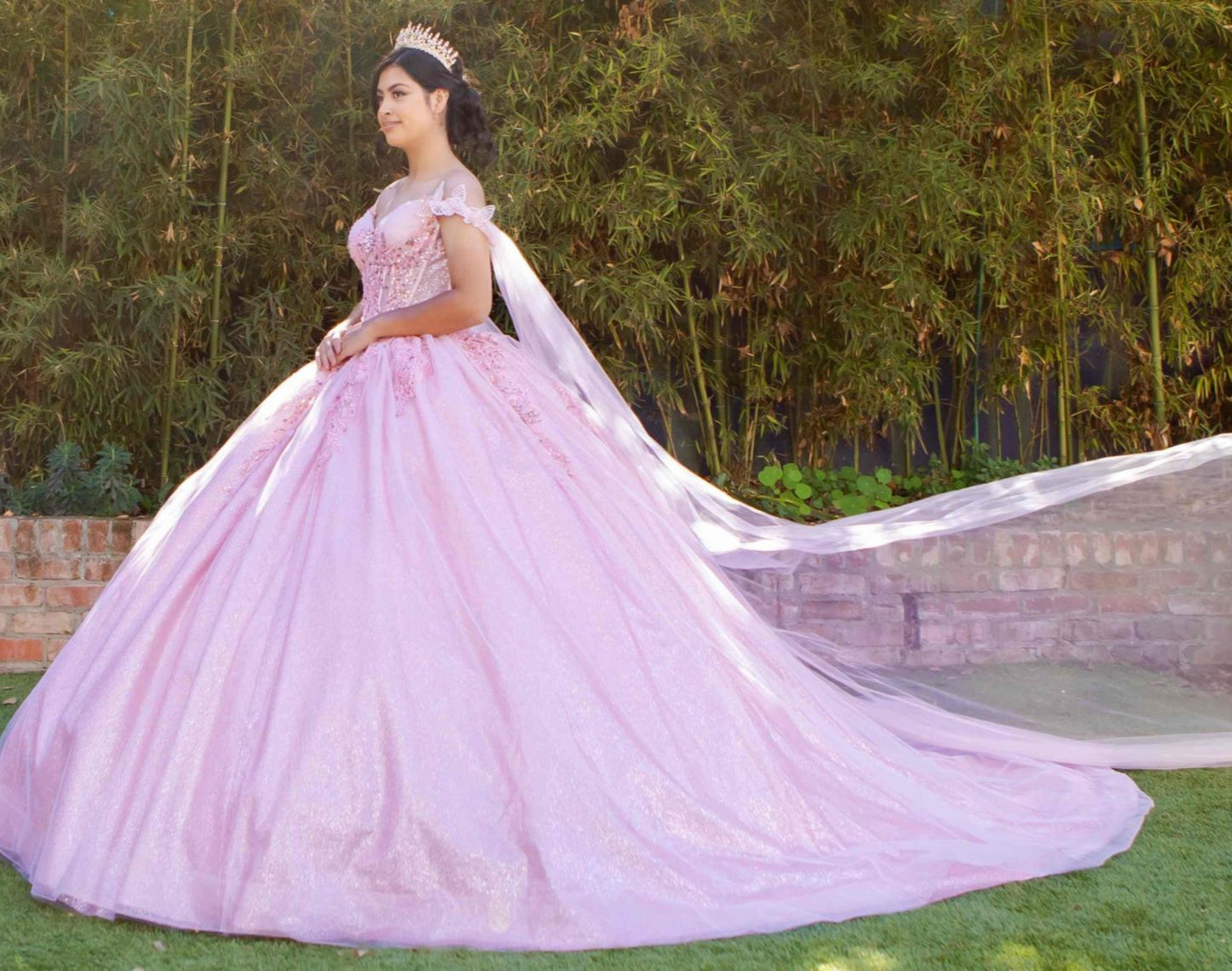 Quinceanera | Blush Floral Embellishments and Sheer Cape Ball Gown | Zepharina dress | 2 Colors Available side view