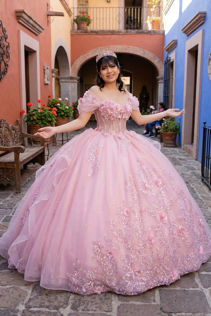 Woman in a blush quincenera ball gown with 3d florals