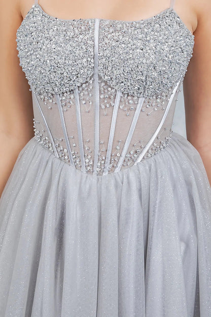 A close-up view of a woman wearing a silver corset bodice with crystal embellishments and sheer illusion detail.