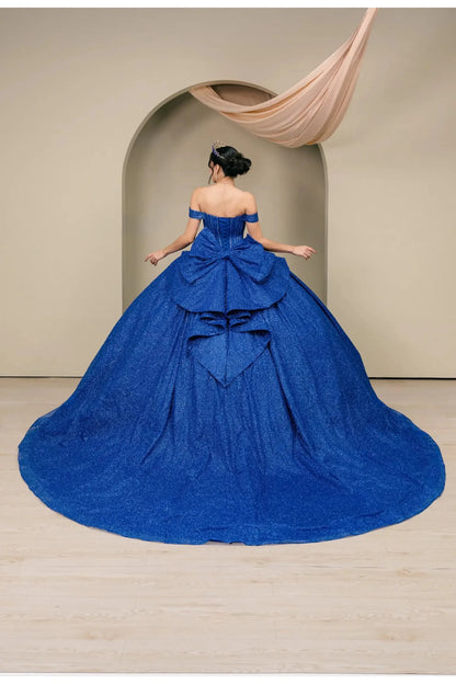 Woman standing back-facing in royal blue ball gown with lace-up corset bodice and cascading glitter tulle skirt


