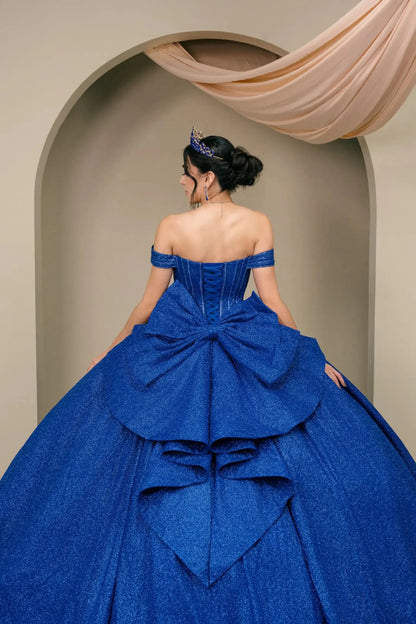 Woman standing back-facing in royal blue ball gown with lace-up corset bodice and cascading glitter tulle skirt

