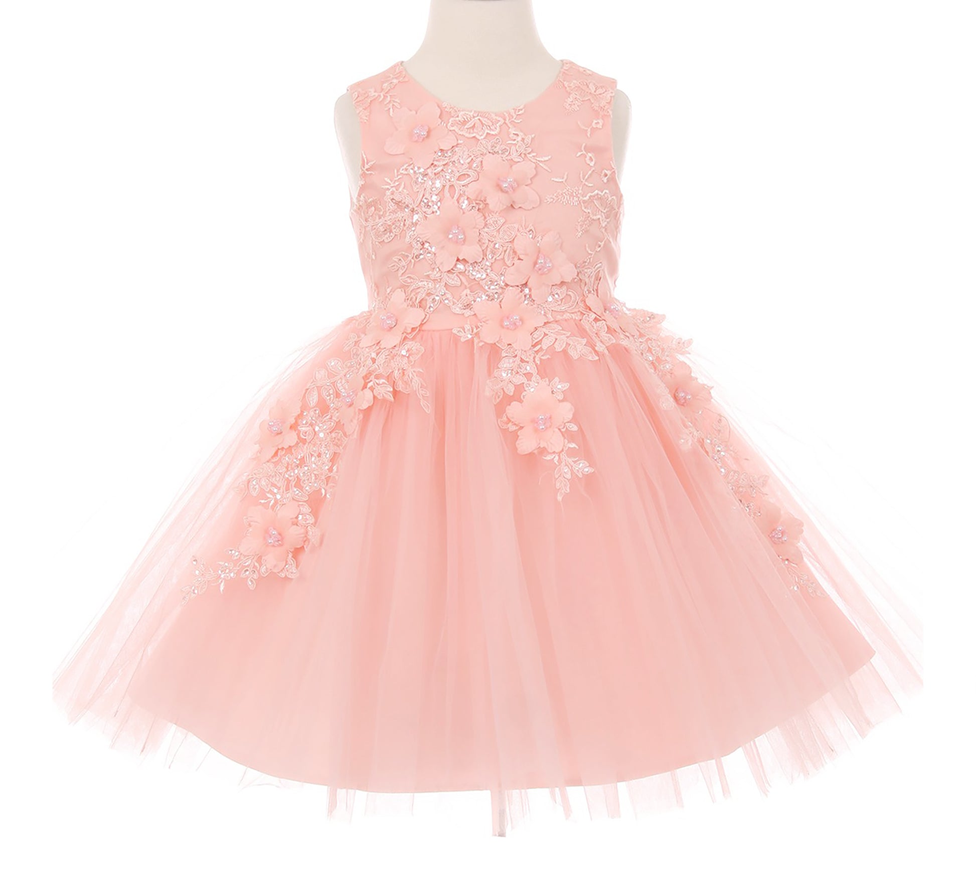 Blush Beautiful 3D Flower Girl Sleeveless Dress | Flower Girl Dress | Birthday Girl Dress - front view of dress