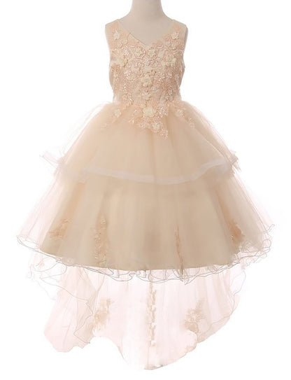 Front view of Champagne 9 layers of Skirt Train with Hand-crafted Sequin Pearl Beads Top flower girl dress.