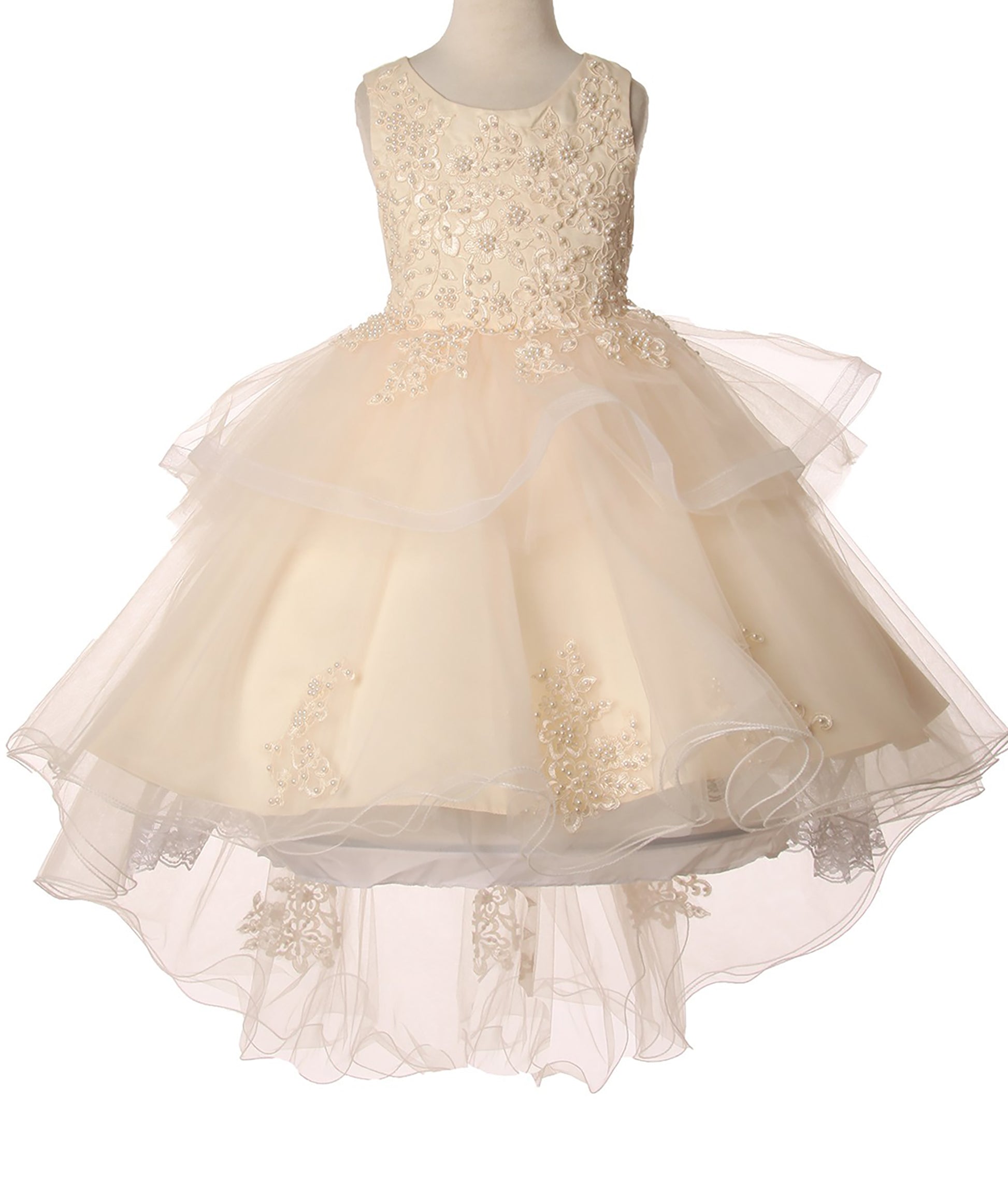 Champagne 9 Layer skirt dress | Elegant hand-crafted Lace Appliques with Sequin Pearl Beads Dress - front of dress view