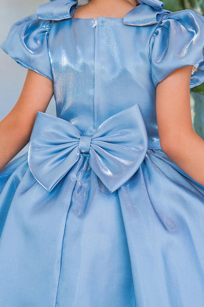 Details of the Blue flower girl dress include large satin bow and zipper at the back.