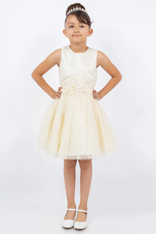 Champagne flower girl dress features flower appliques above a layered tulle skirt.